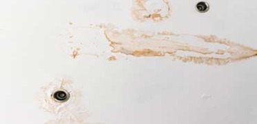 Efficient solutions for ceiling leaks to prevent water damage.